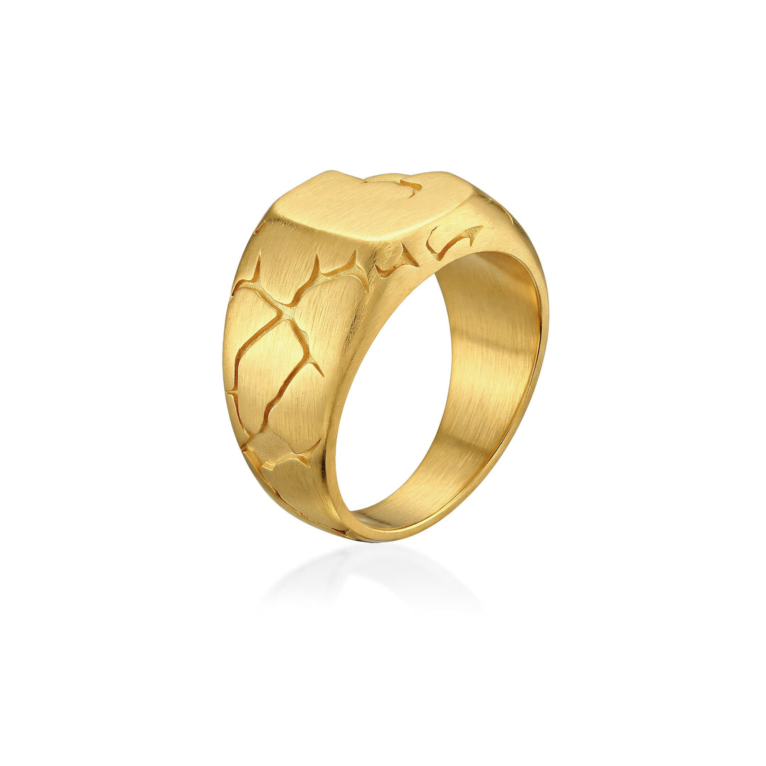 Terra Fissure Signet Ring