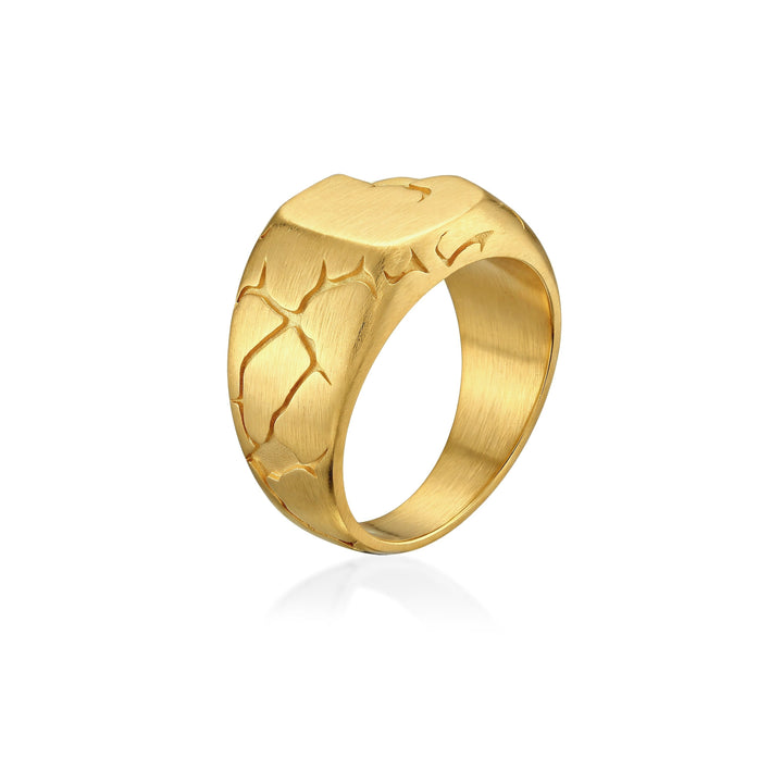 Terra Fissure Signet Ring