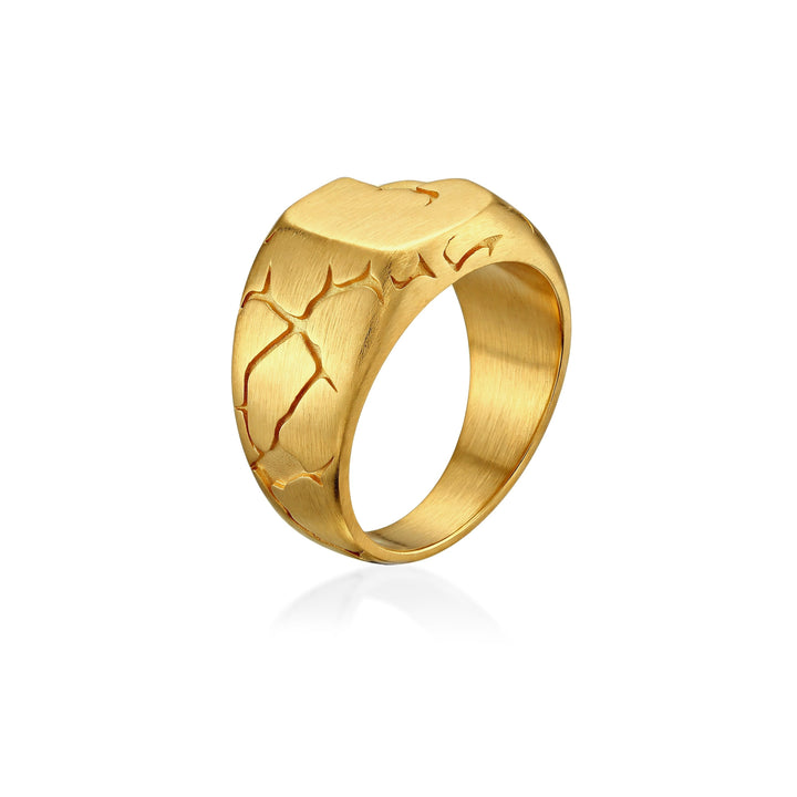 Terra Fissure Signet Ring