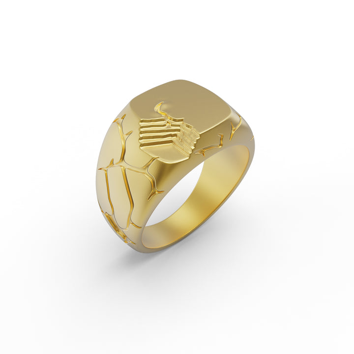 Terra Fissure Signet Ring