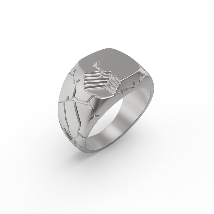 Terra Fissure Signet Ring