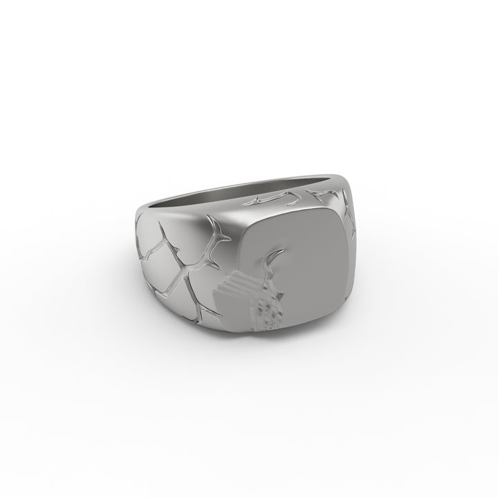 Terra Fissure Signet Ring