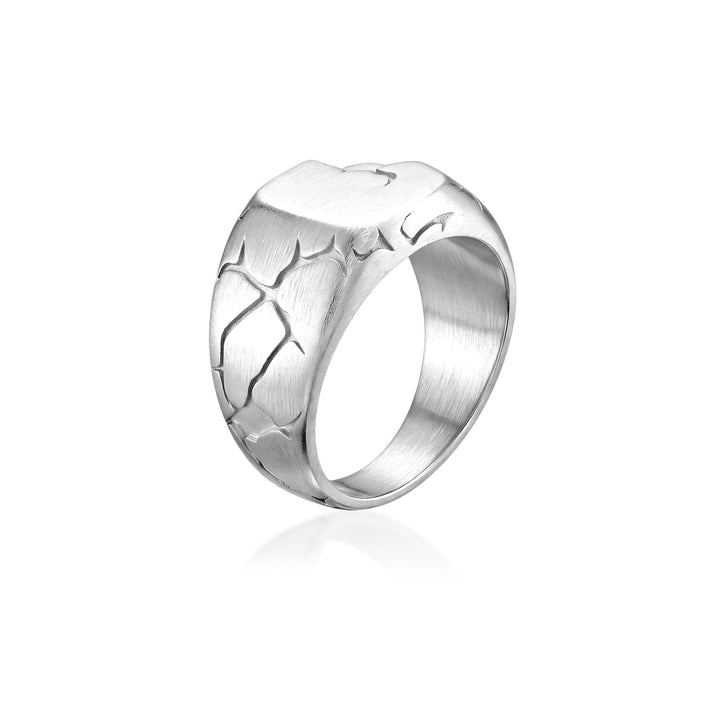 Terra Fissure Signet Ring